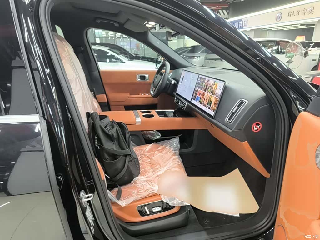 Li Auto L9, 2022 25