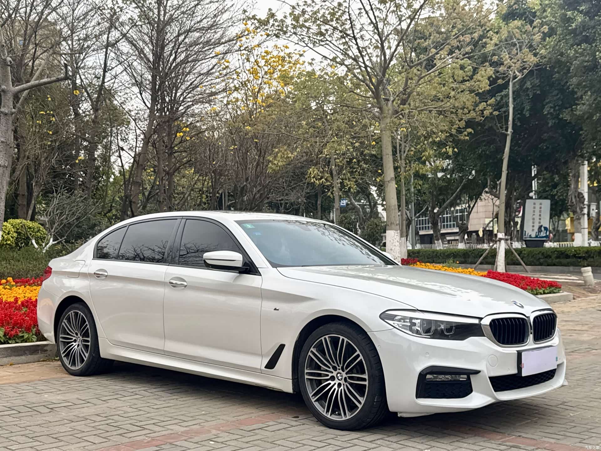 BMW 5 Series, 2017 3