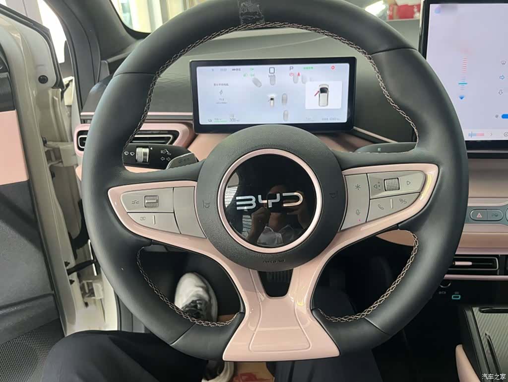 BYD Seagull, 2026 6