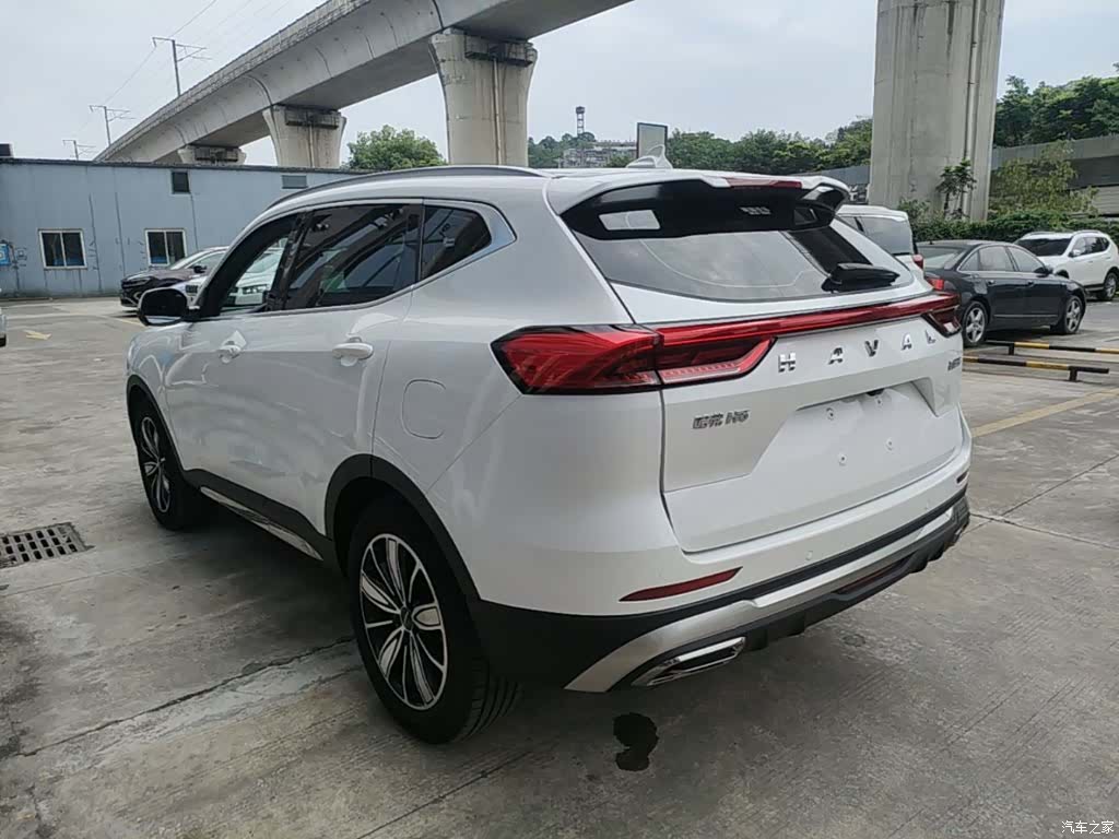 Haval H6, 2024 все фото