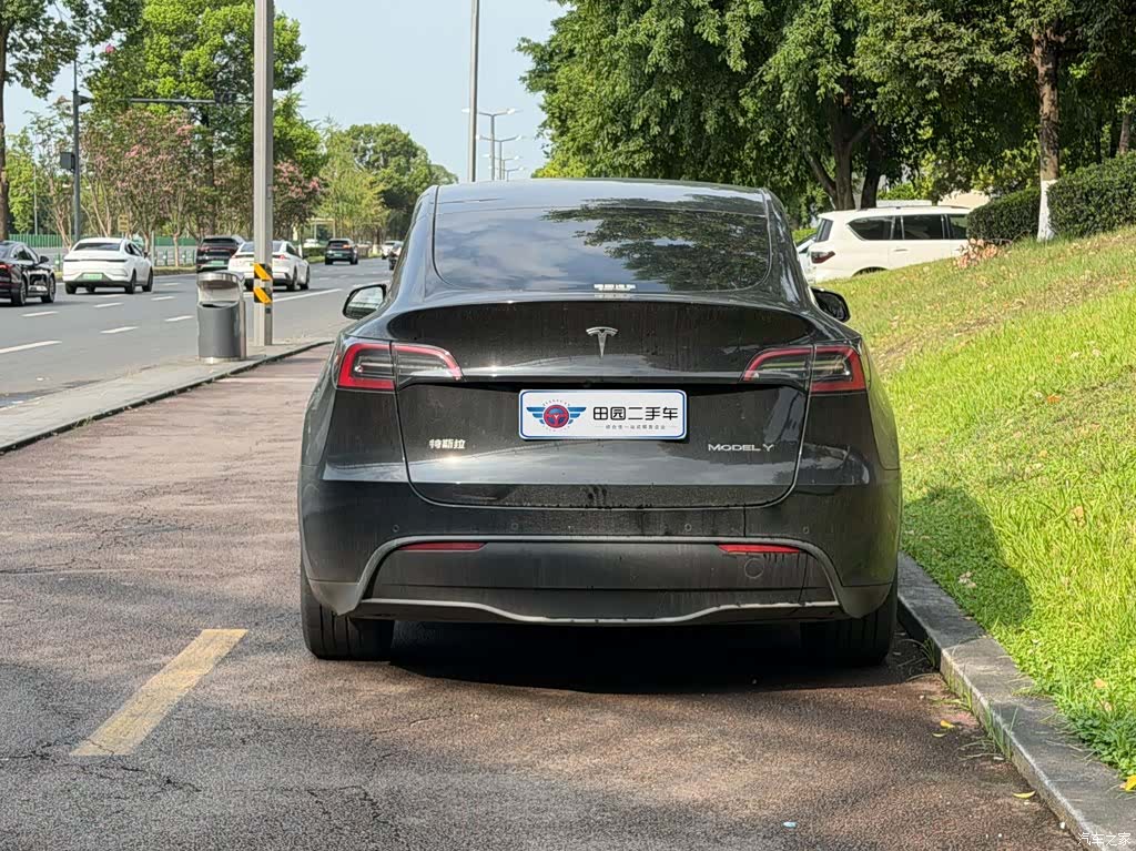 Tesla Model Y, 2023 все фото