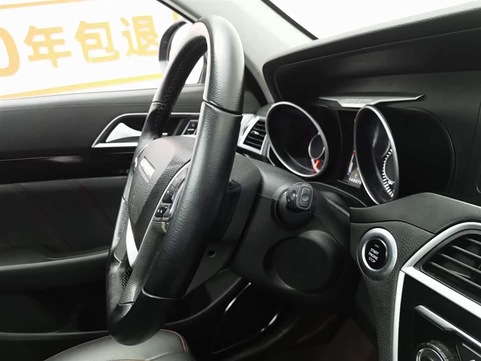 Leopaard Cheetah CS10