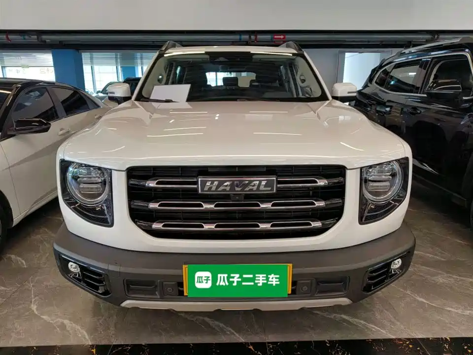 Haval Big dog