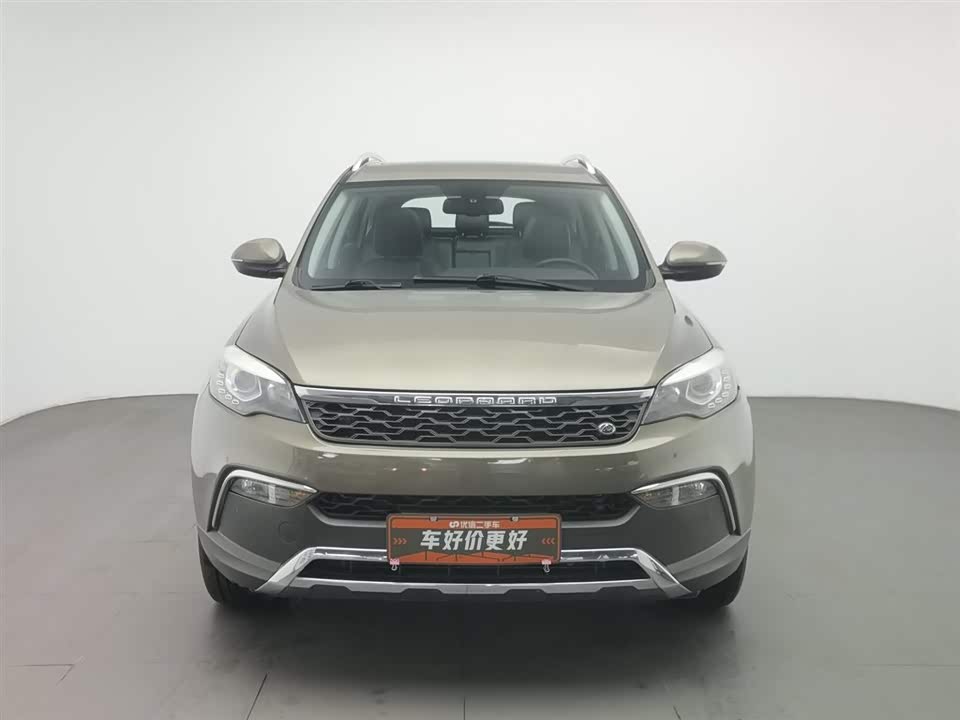 Leopaard Cheetah CS10