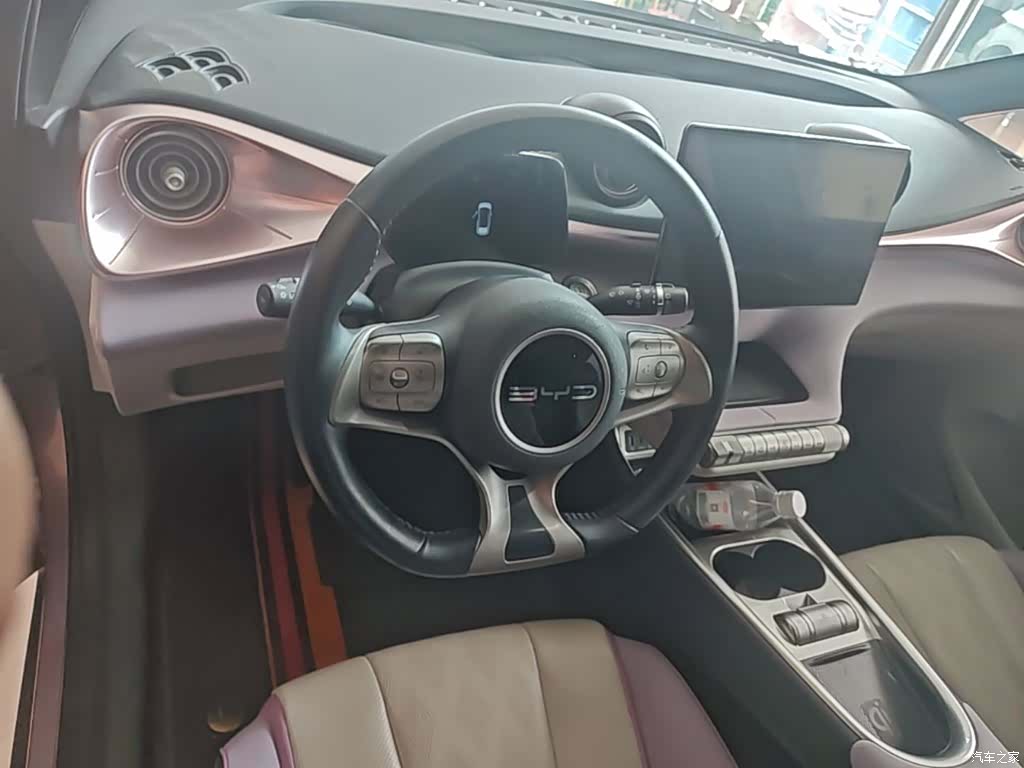 BYD Dolphin, 2023 11
