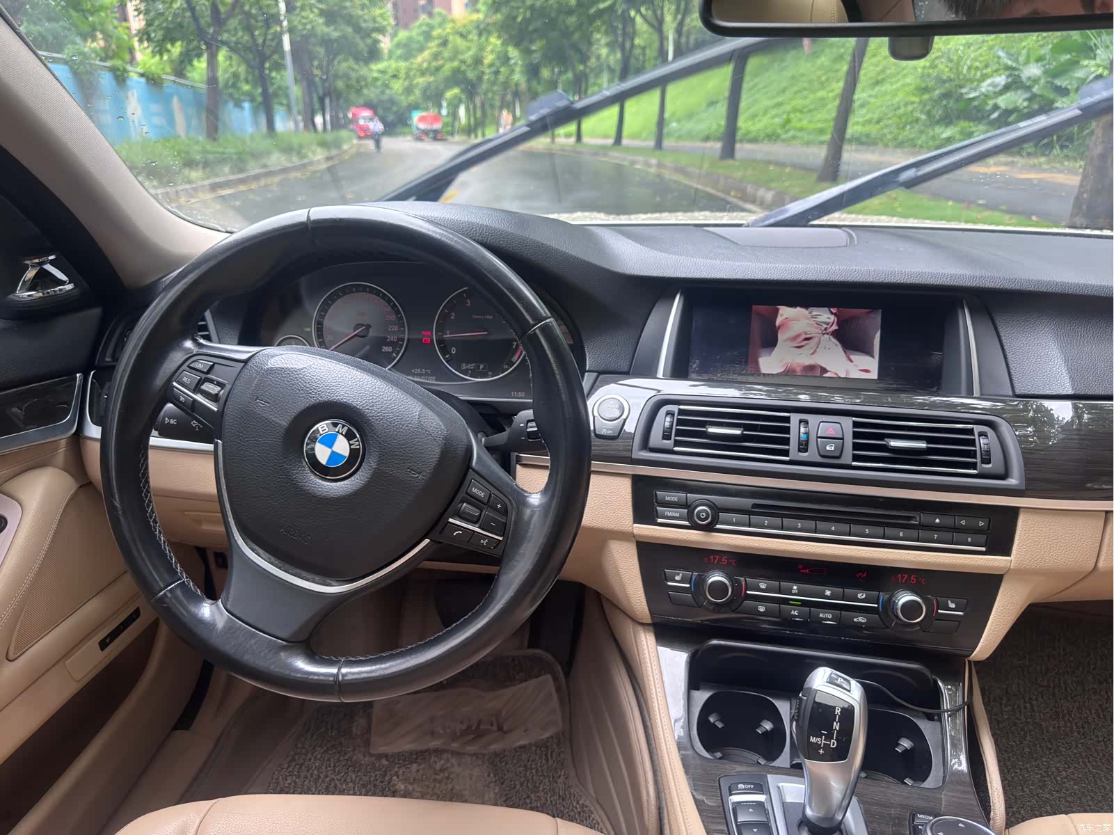 BMW 5 Series, 2015 15