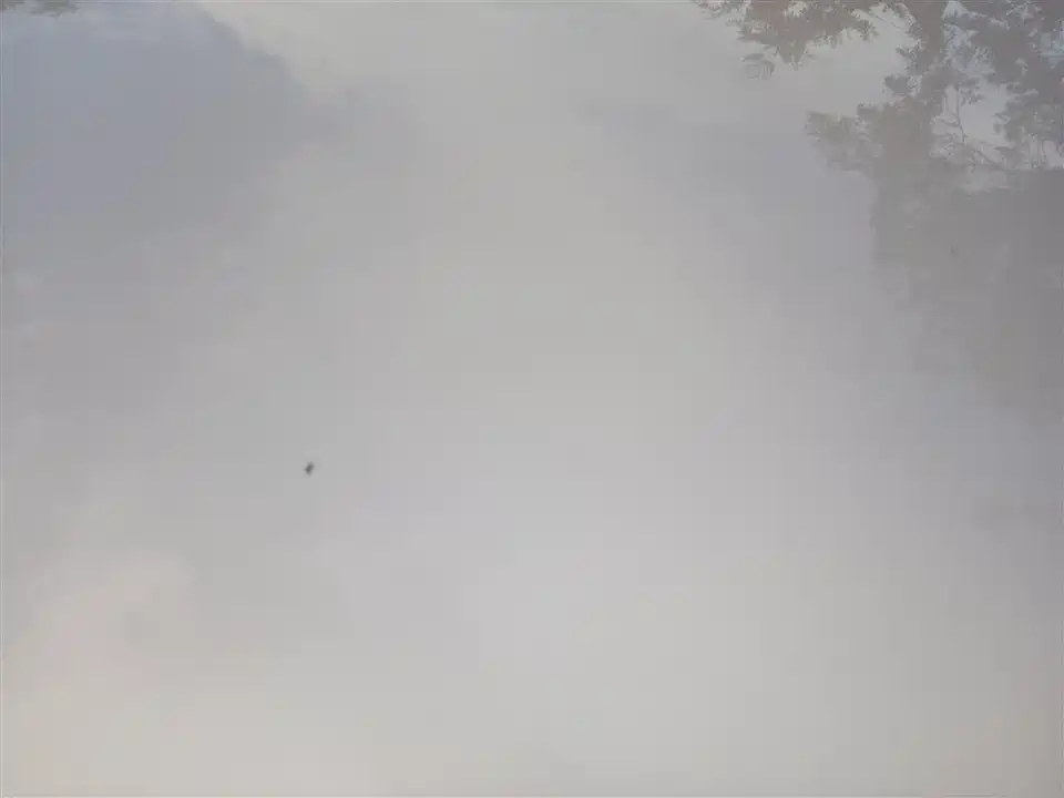 Wuling Wuling Starlight