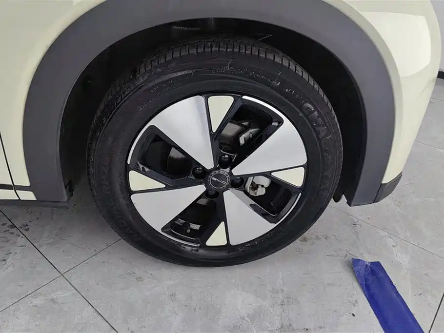 BYD dolphin