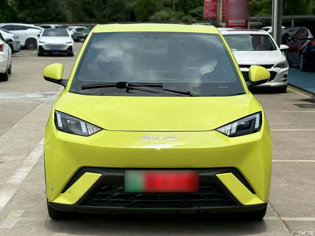 BYD Seagull, 2024 3