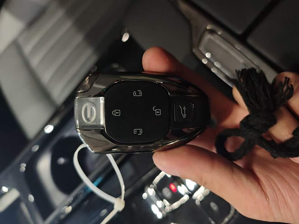 Trumpchi Trumpchi E9