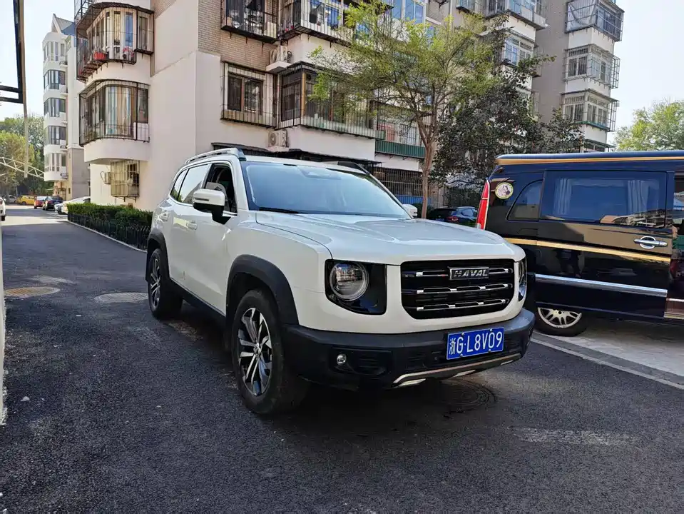 Haval Big dog