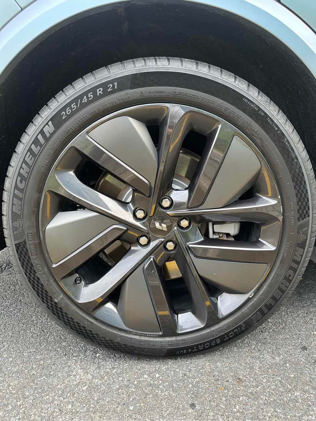 Li Auto L9, 2023 10