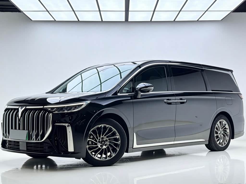 Voyah 2024 PHEV Flagship