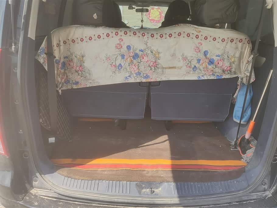 Forthing Lingzhi PLUS