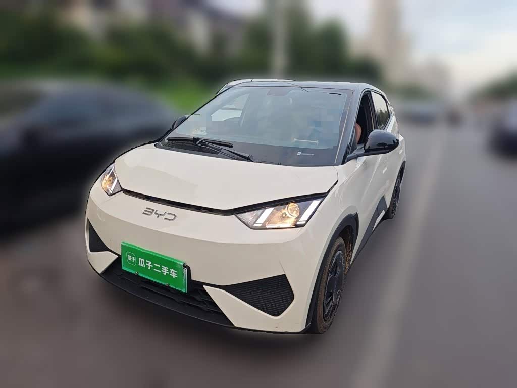 BYD Seagull