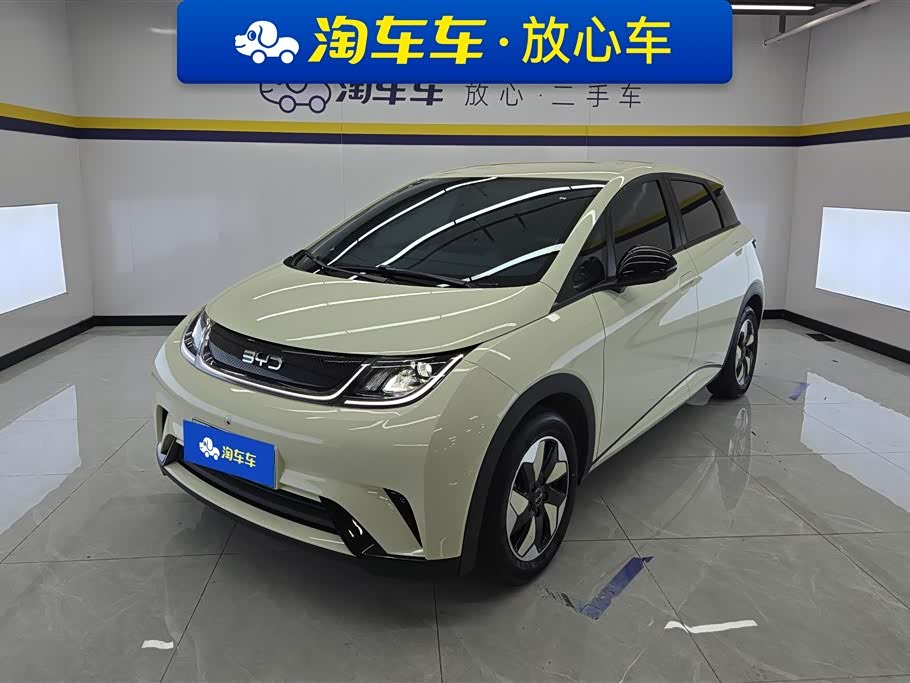 BYD Dolphin