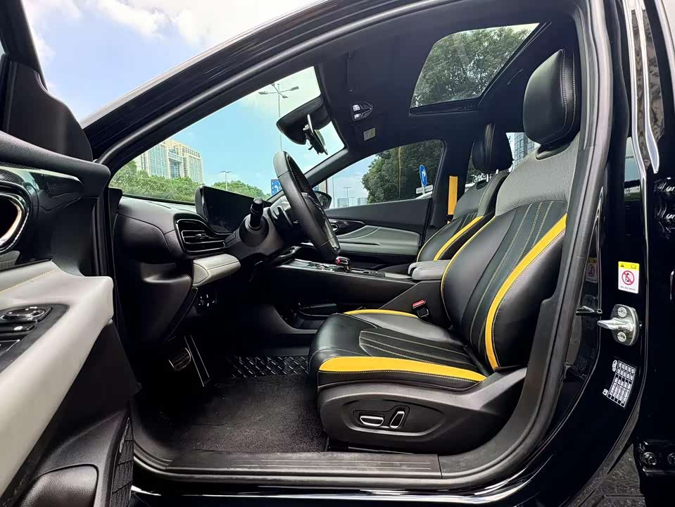 Trumpchi Shadow Leopard