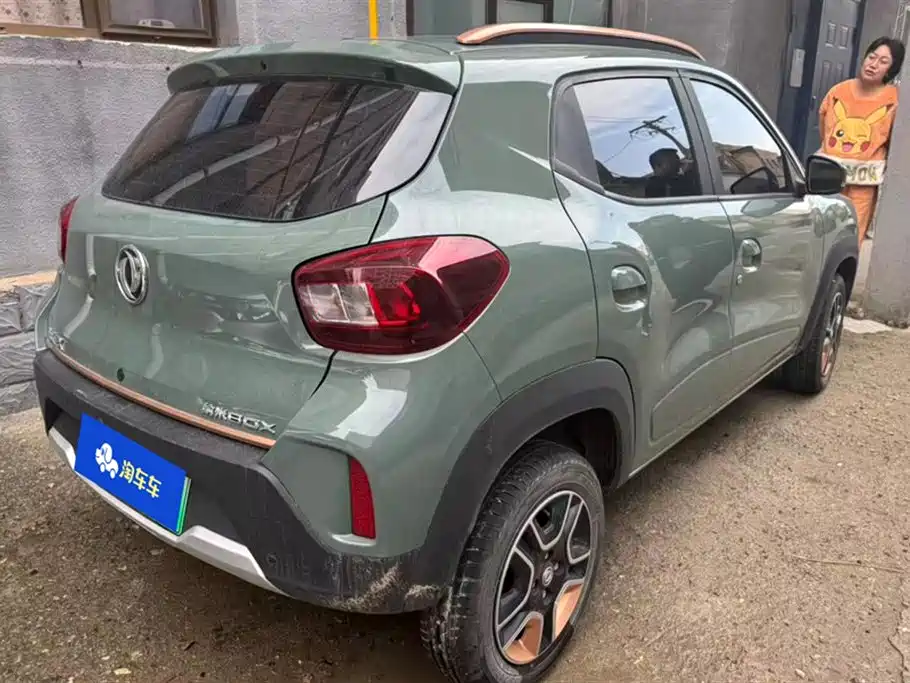 Dongfeng Nammi EX1
