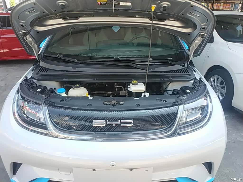 BYD Dolphin, 2021 20