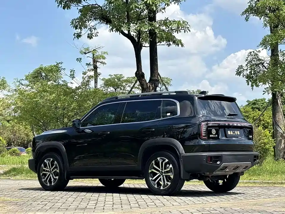 Haval Big dog