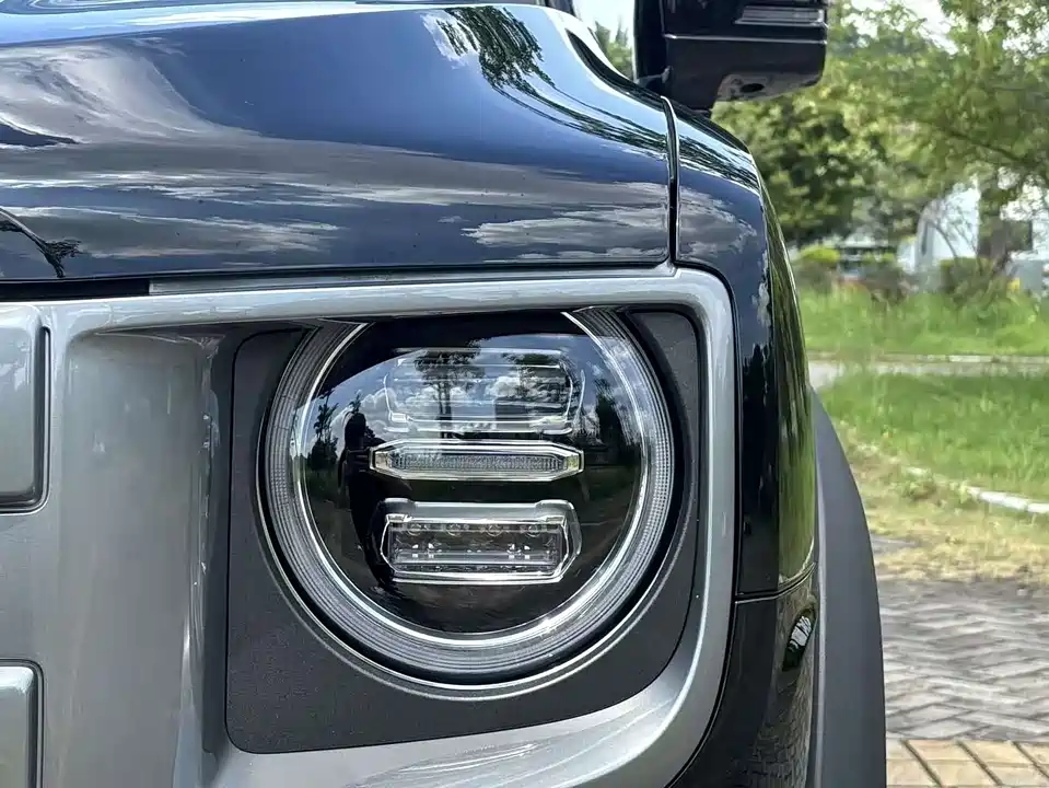Haval Big dog