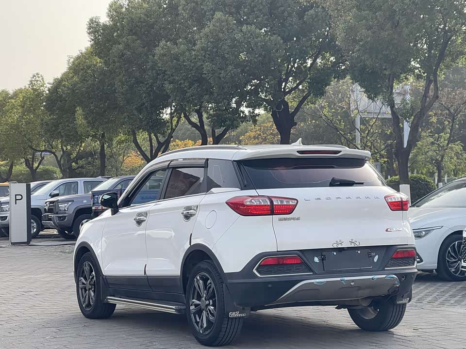 Leopaard Cheetah CS9