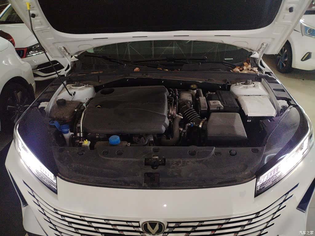 Changan Eado, 2025 19