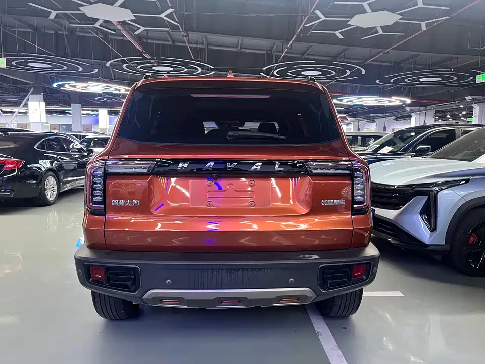 Haval Big dog