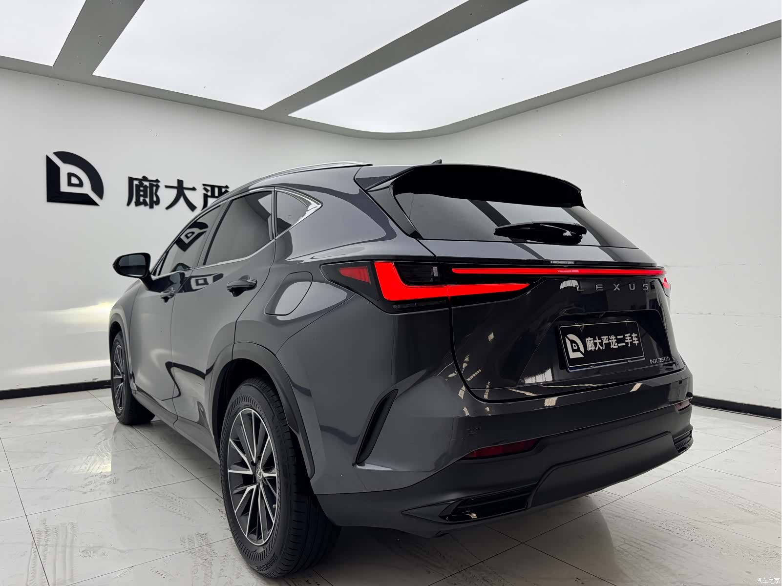 Lexus NX, 2022 все фото