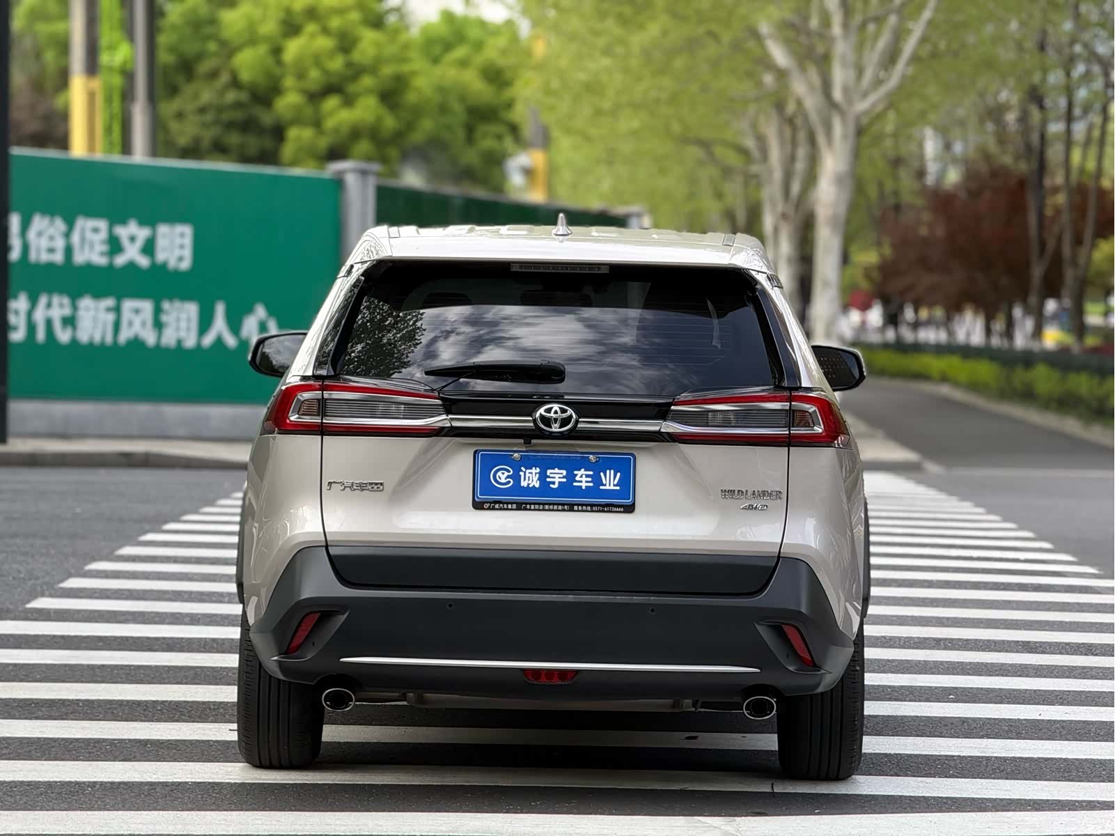Toyota Wildlander, 2020 15
