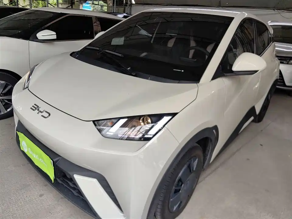 BYD Seagull