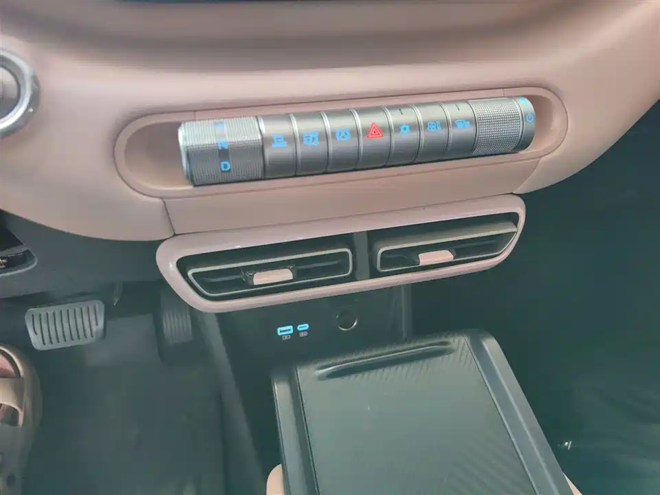 BYD Seagull