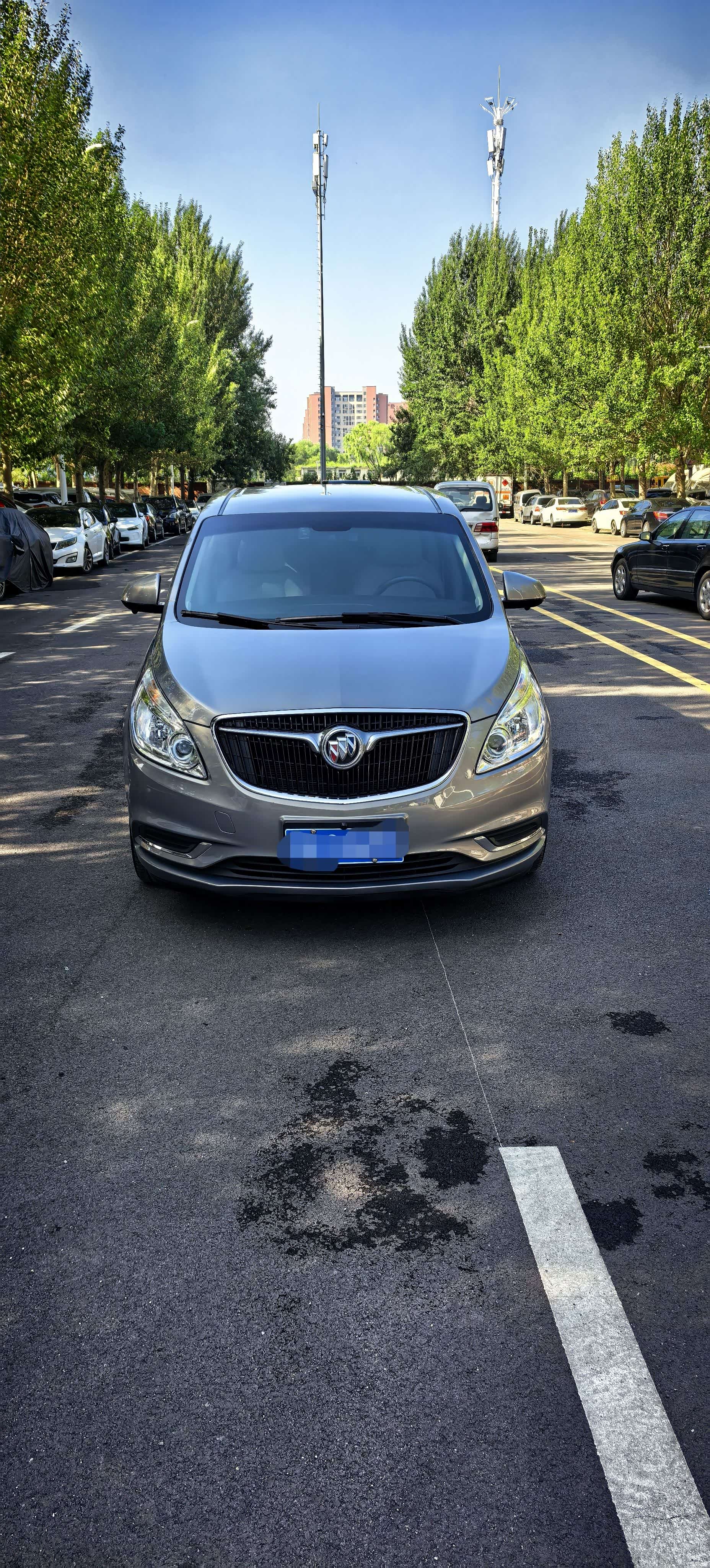 Buick GL8, 2019 2
