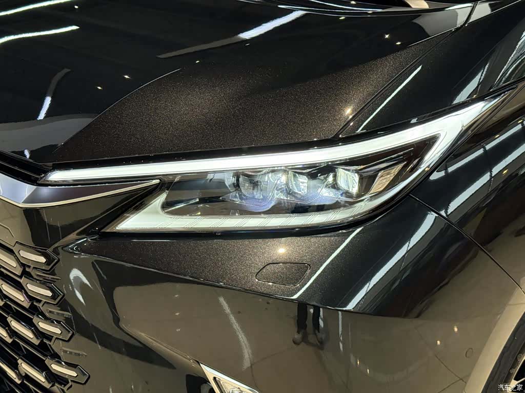 Lexus LM, 2024 все фото