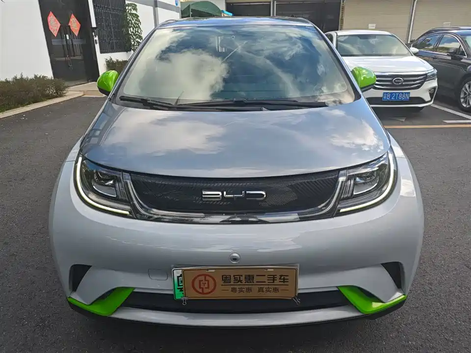 BYD dolphin BYD dolphin