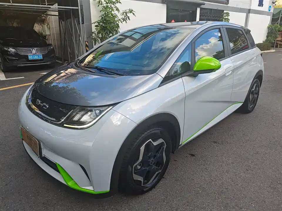 BYD dolphin