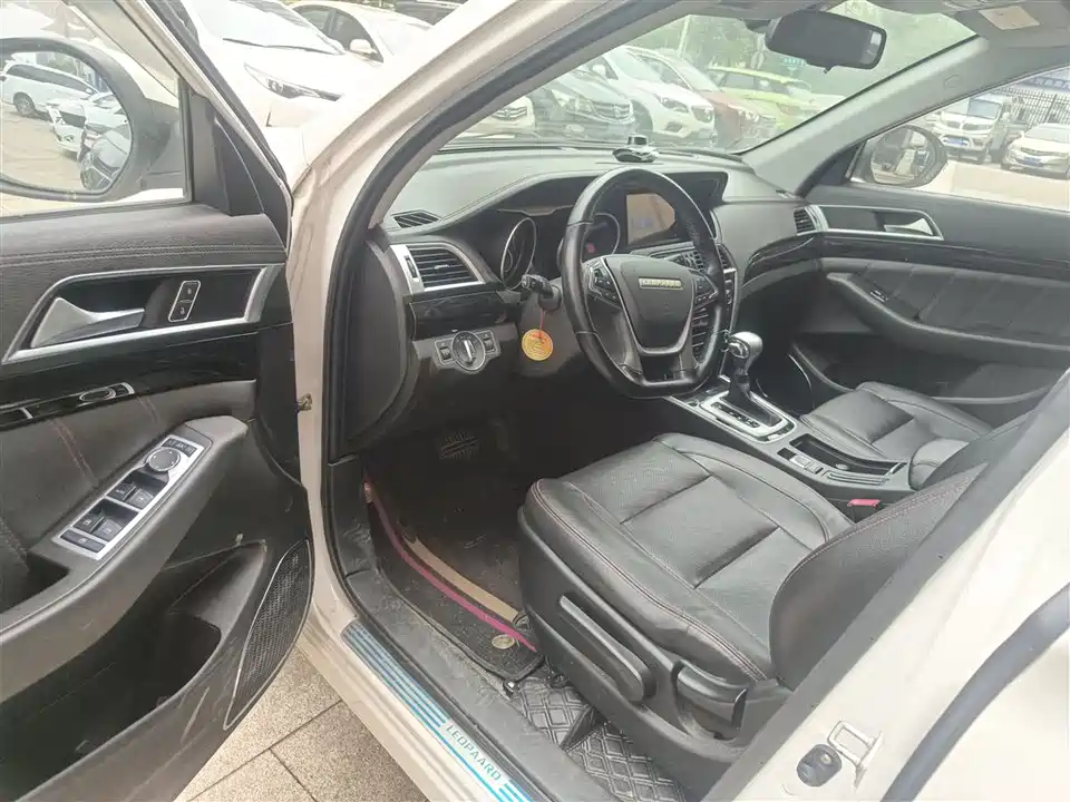 Leopaard Cheetah CS10