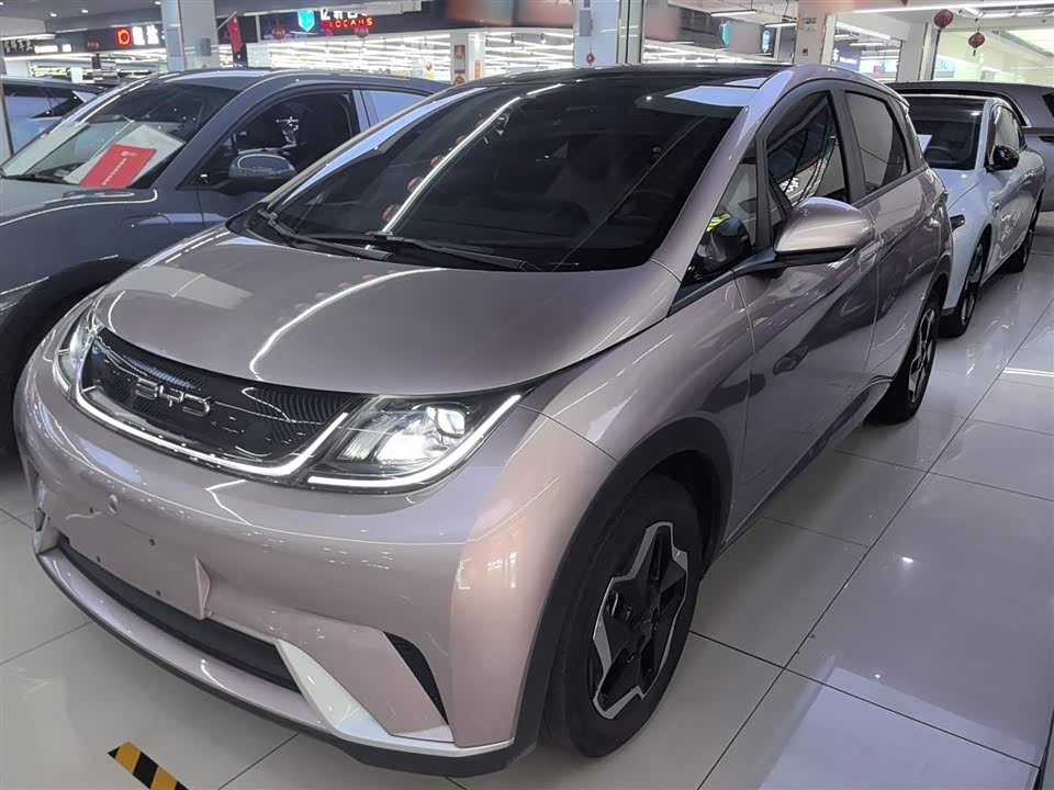 BYD dolphin