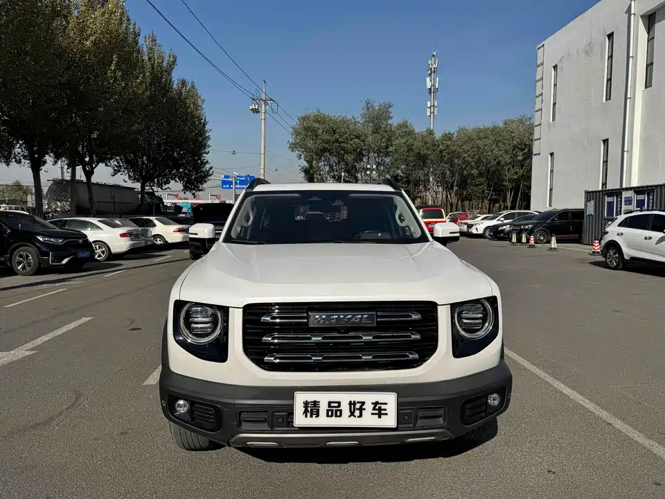 Haval Big dog