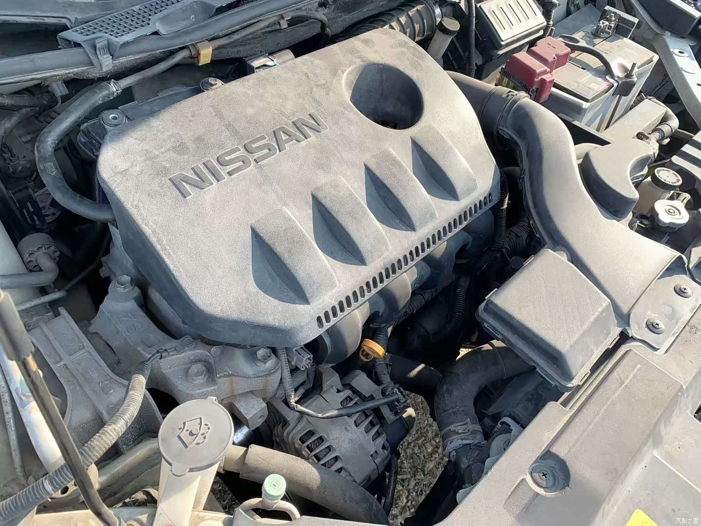 Nissan D60, 2019 7