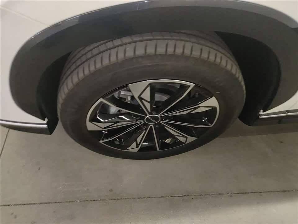 Roewe RX5 New energy