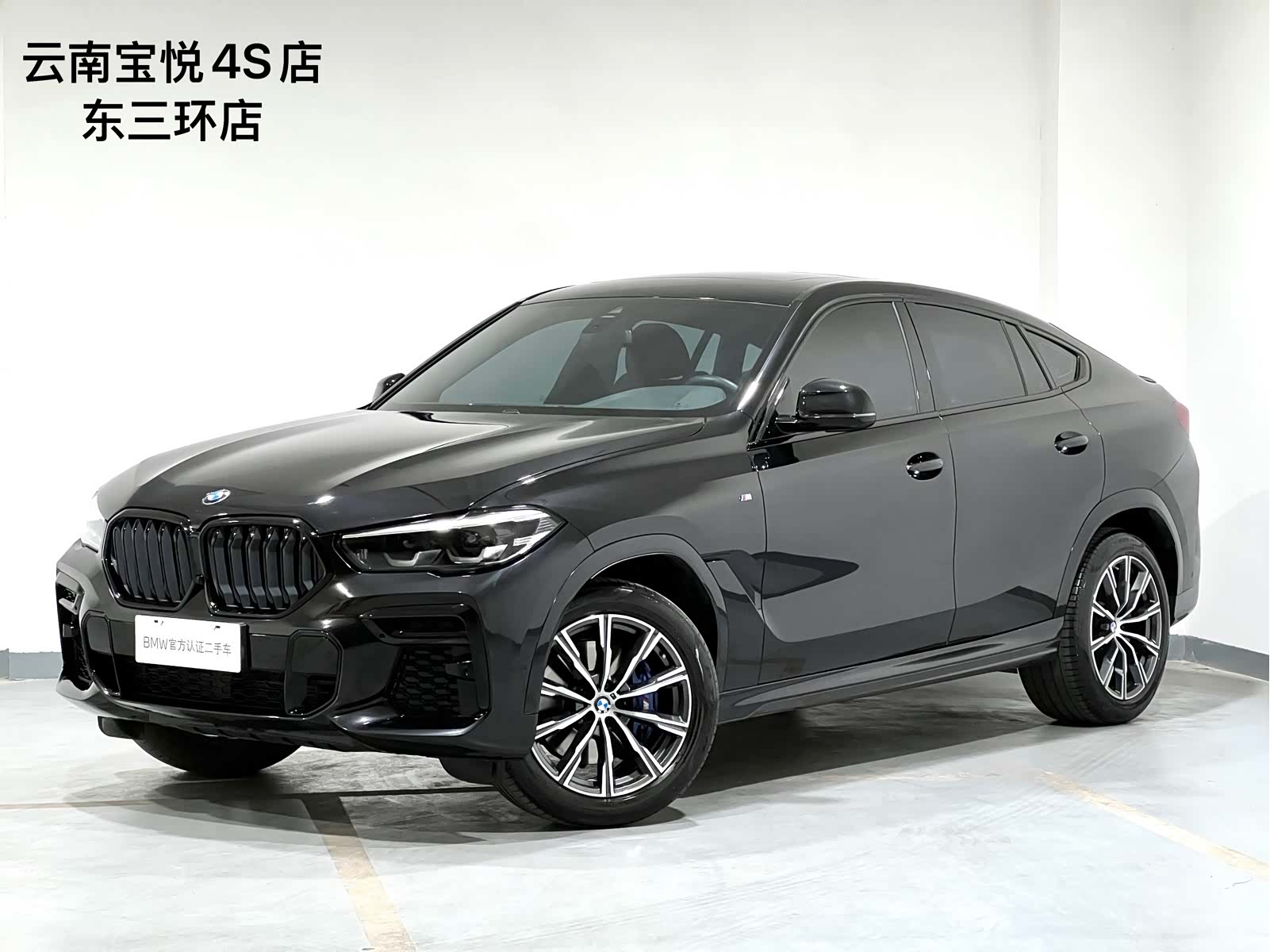 BMW X6, 2023 1