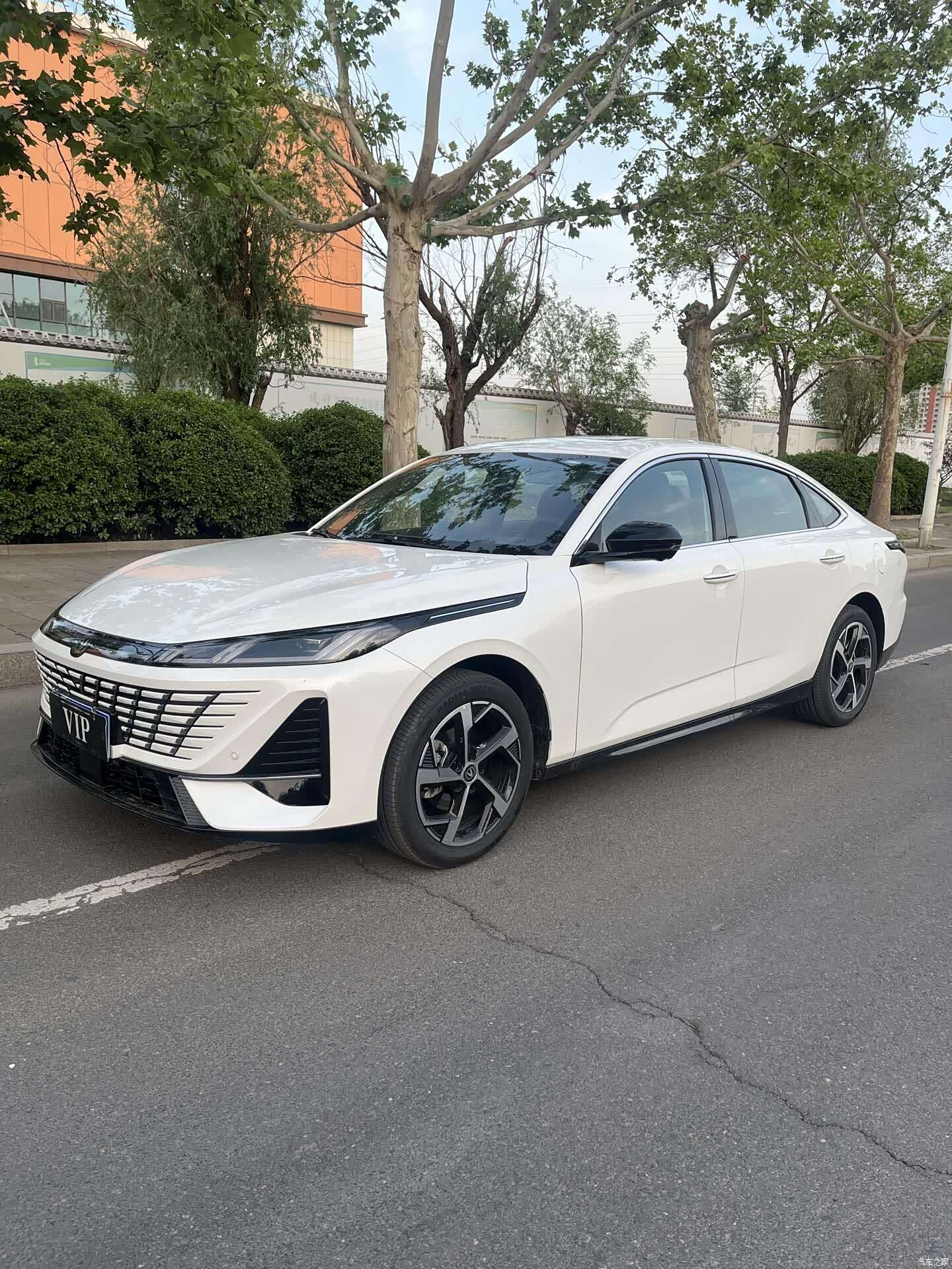 Changan Eado, 2026 1