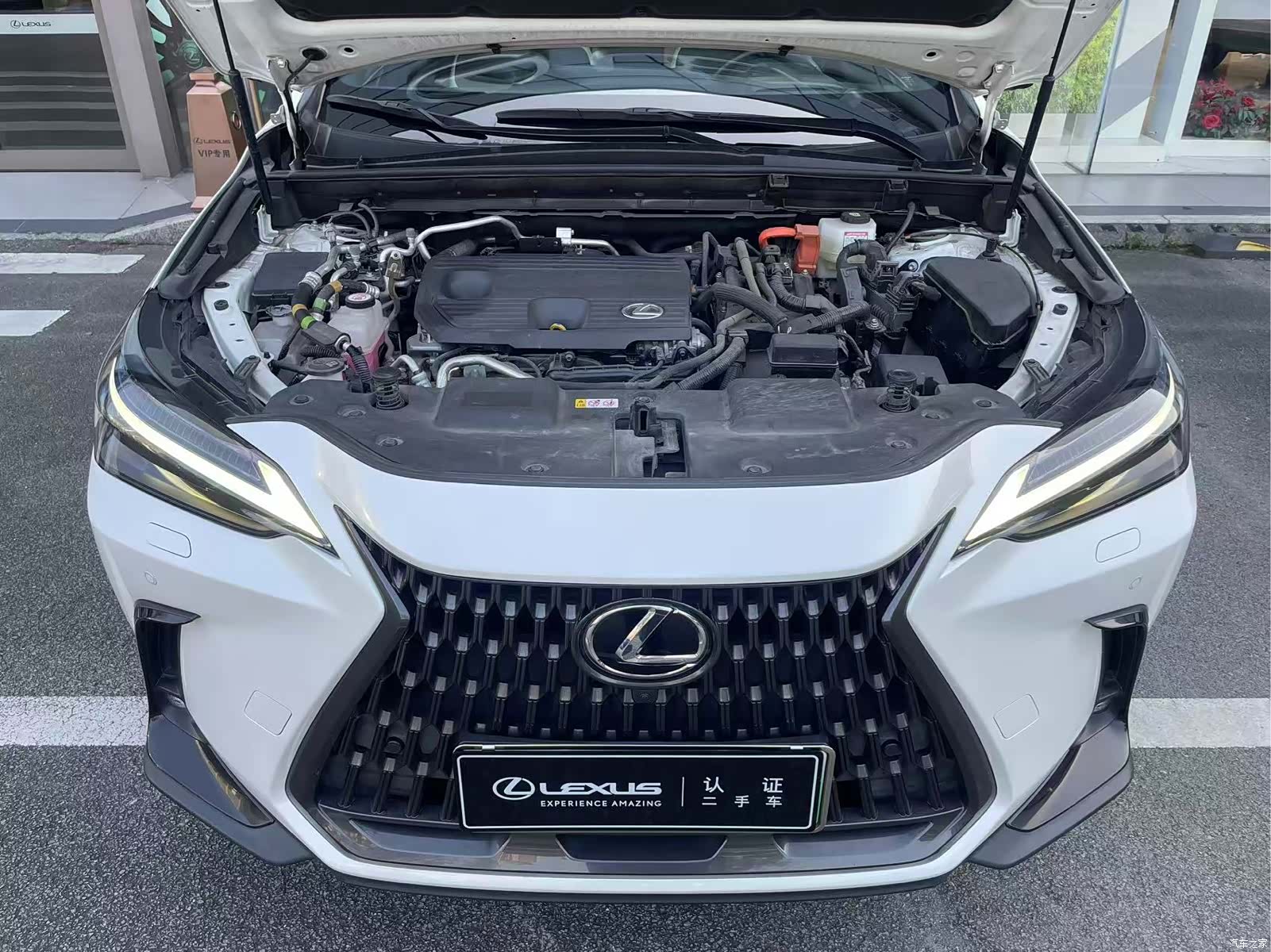 Lexus NX, 2022 9