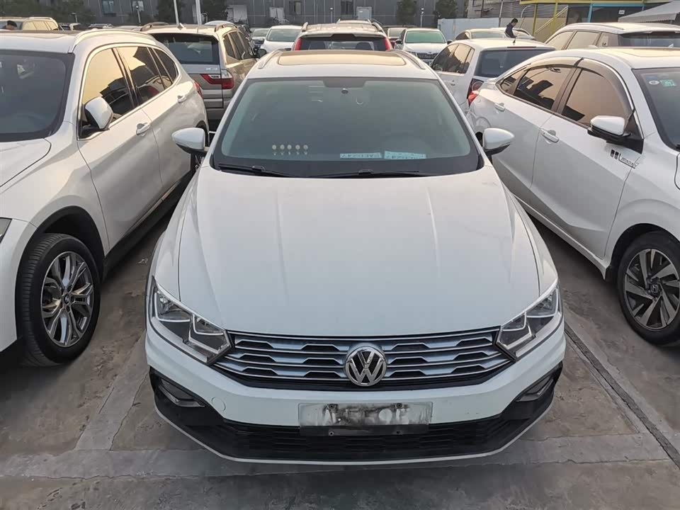 Volkswagen C-TREK Wei Collar