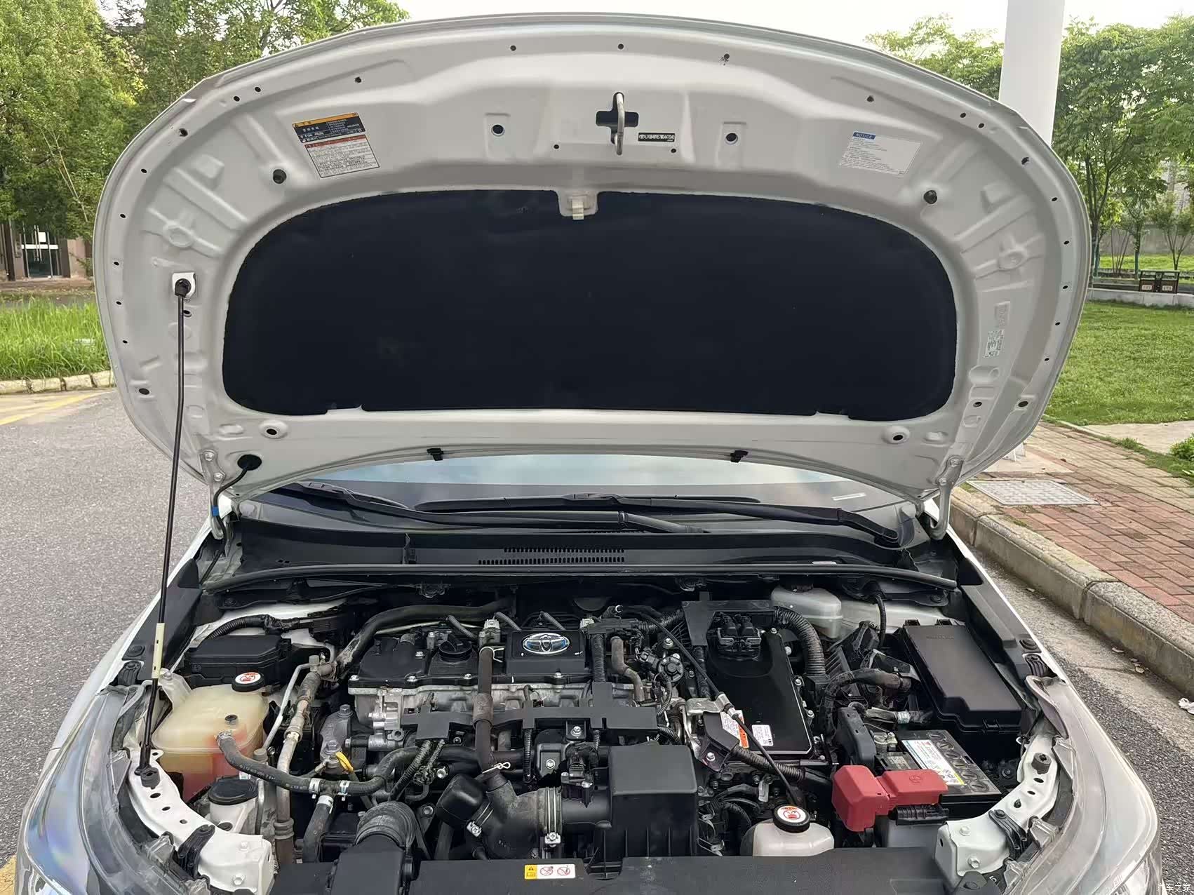 Toyota Levin, 2021 19