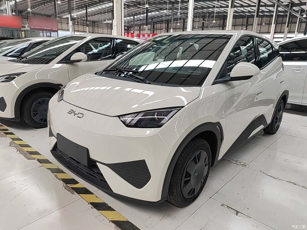BYD Seagull, 2026 1