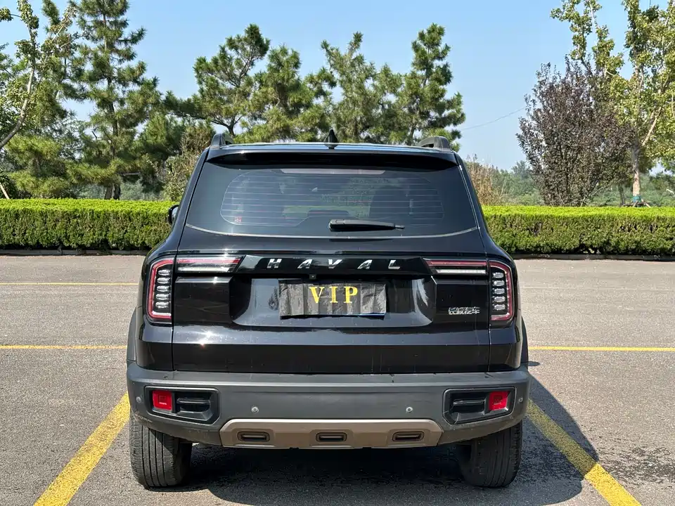 Haval Big dog