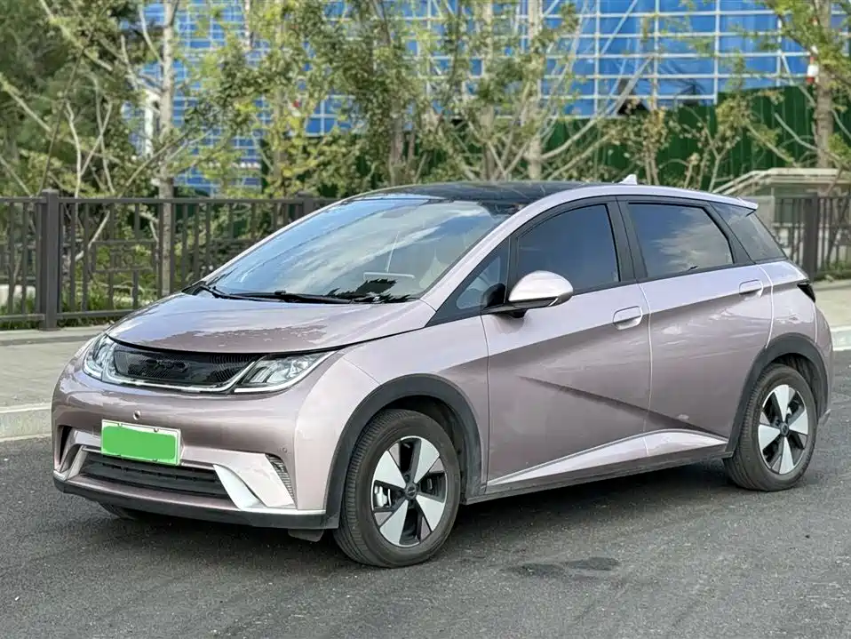 BYD dolphin