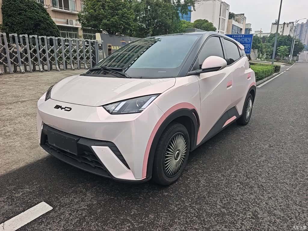 BYD Seagull, 2024 2